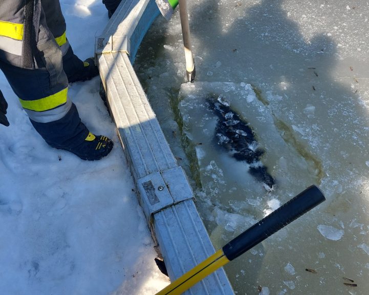 20230209_122906-scaled-1