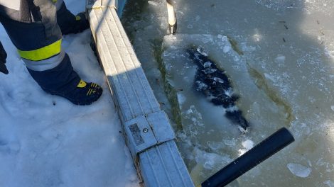 20230209_122906-scaled-1